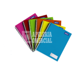 CUADERNO SAIRA PROFESIONAL 100 HOJAS RAYA